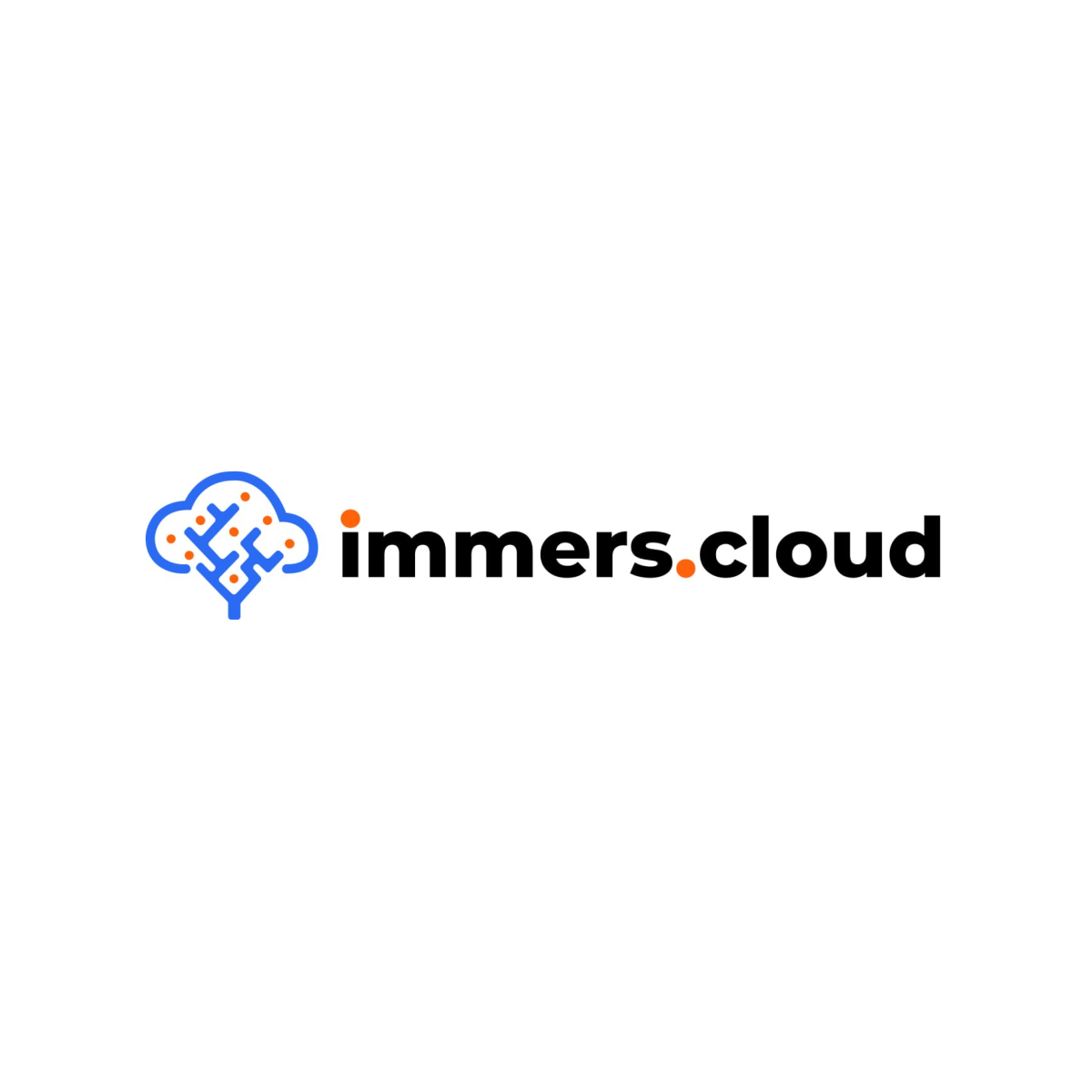 Логотип компании immers.cloud