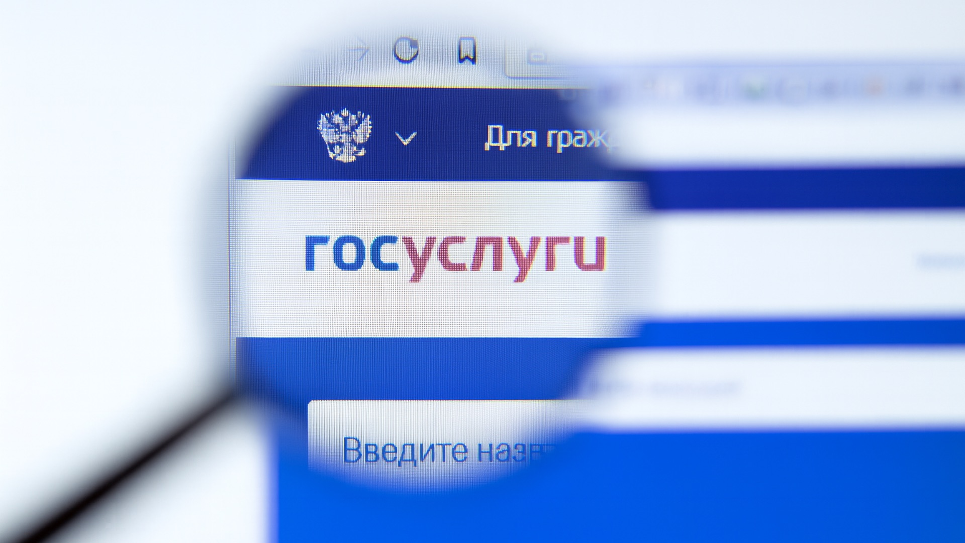 Россияне смогут запретить обработку персональных данных — через Госуслуги