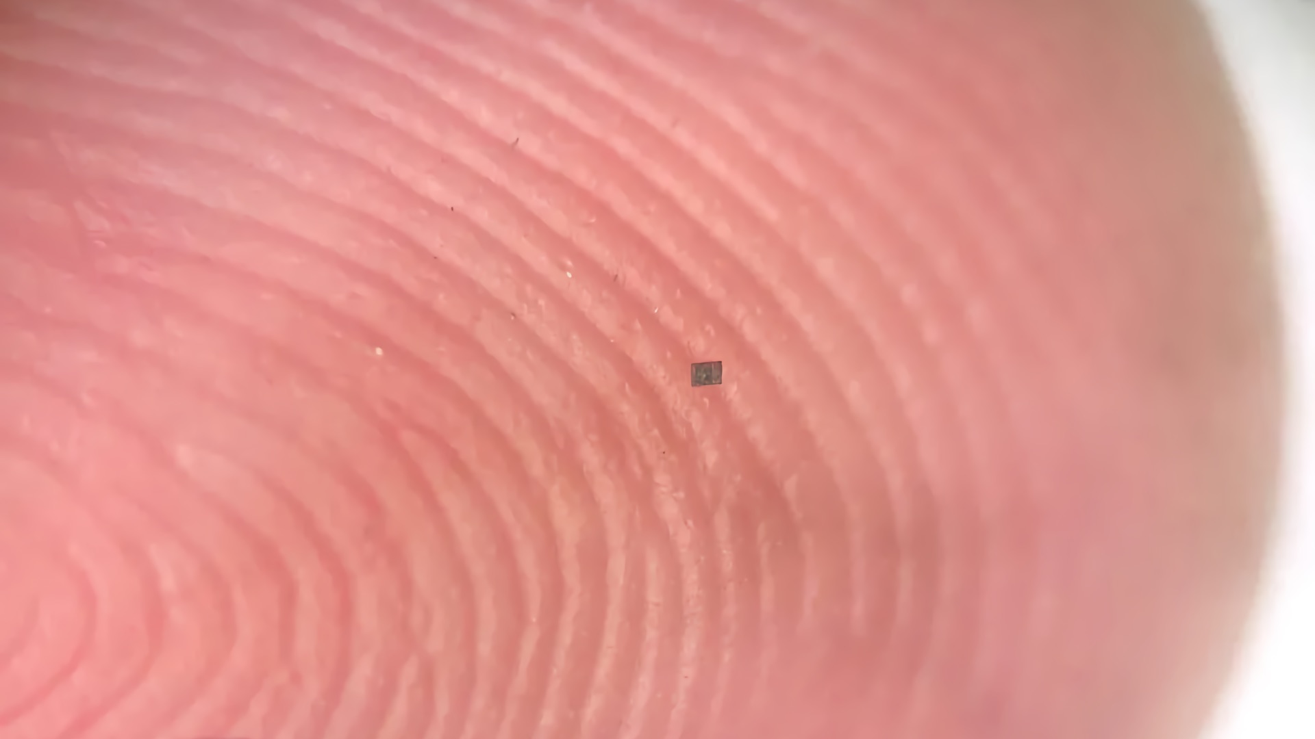 Ученые создали автономных микророботов размером с бактерию и ценой $0,01 1