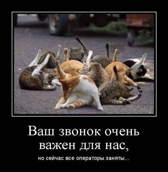 Service Desk или Help Desk — что выбрать для своего бизнеса 5