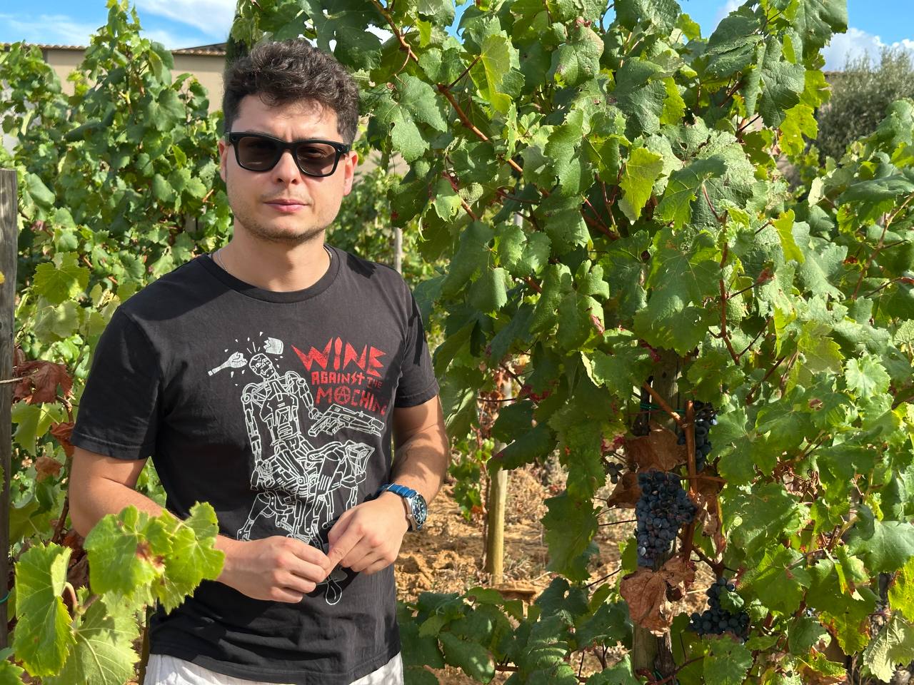 Бывших айтишников не бывает, но это не точно — три истории о смене профессии, выгорании и поиске себя вне IT 4