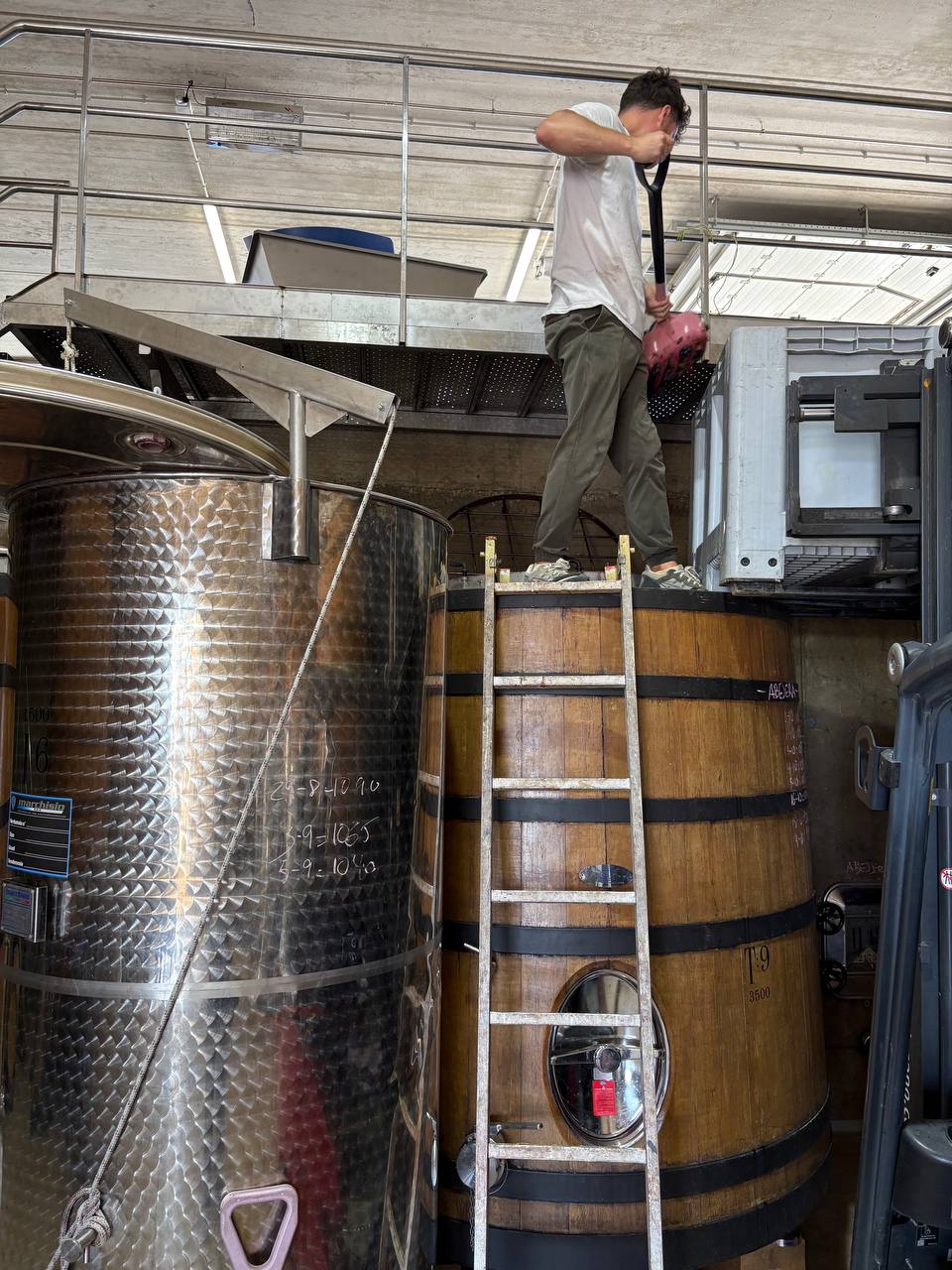 Бывших айтишников не бывает, но это не точно — три истории о смене профессии, выгорании и поиске себя вне IT 5