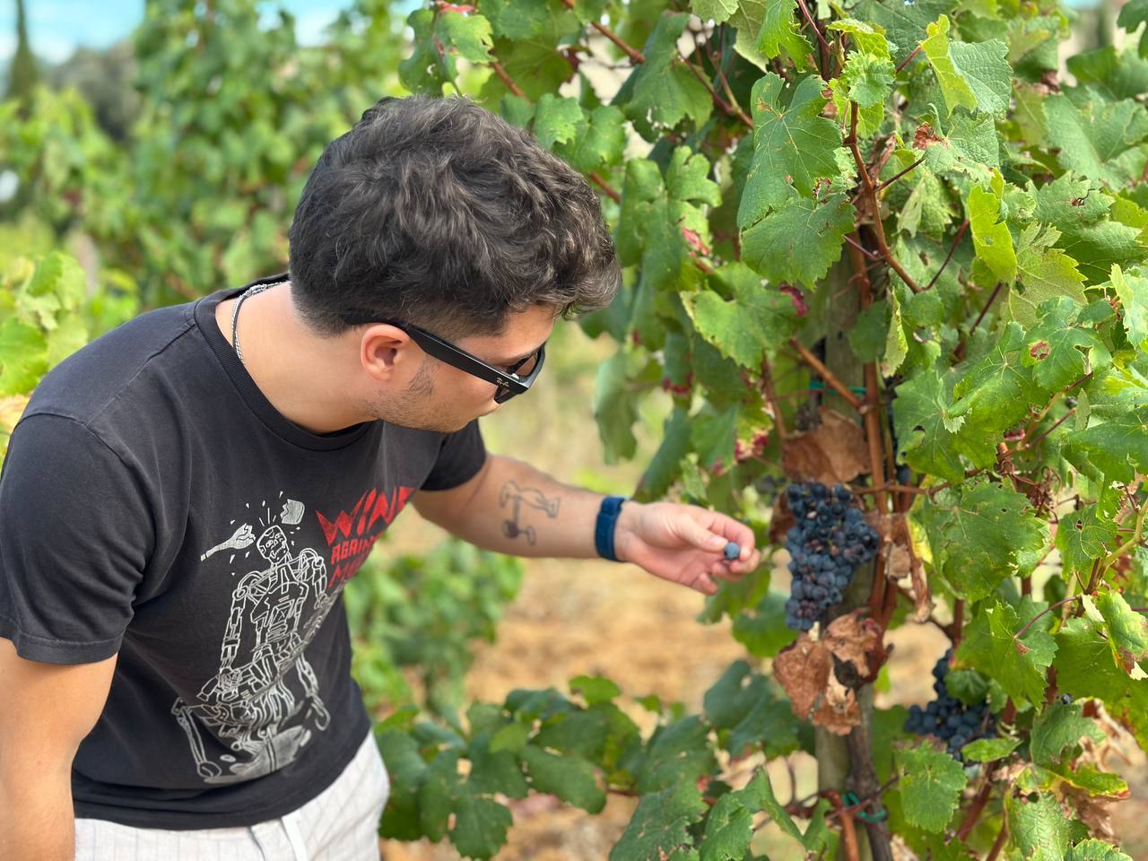 Бывших айтишников не бывает, но это не точно — три истории о смене профессии, выгорании и поиске себя вне IT 6