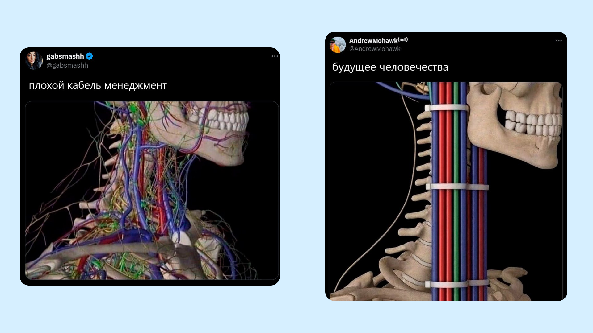 Главные мемы 2025 года: что за ними скрывалось 11