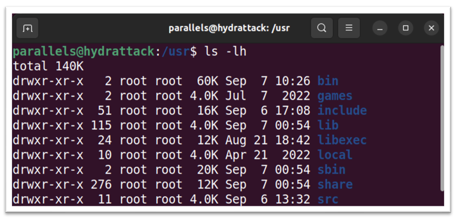 Обучение кибербезопасности и этичному хакерству: структура Linux 4