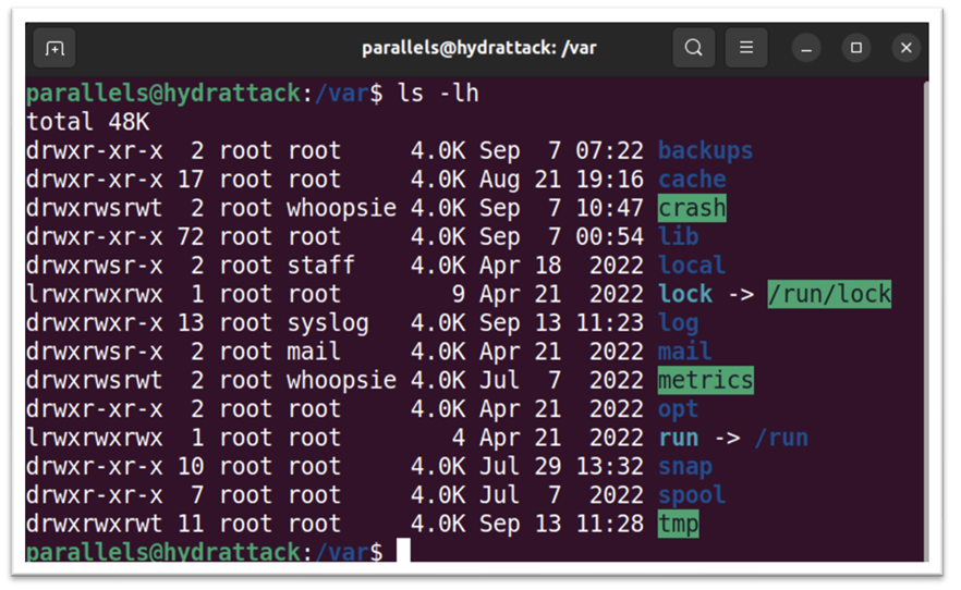 Обучение кибербезопасности и этичному хакерству: структура Linux 6