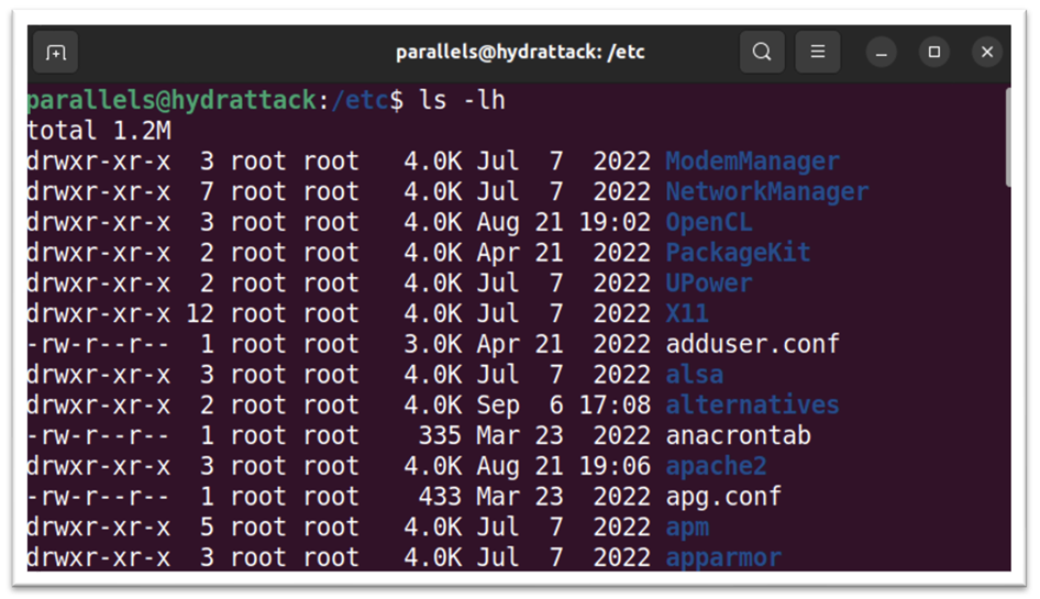 Обучение кибербезопасности и этичному хакерству: структура Linux 8