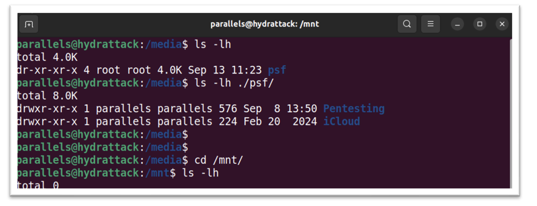 Обучение кибербезопасности и этичному хакерству: структура Linux 11