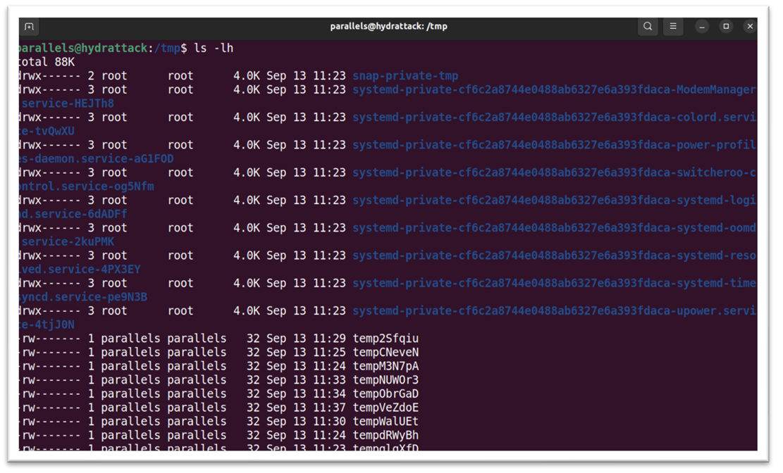 Обучение кибербезопасности и этичному хакерству: структура Linux 7
