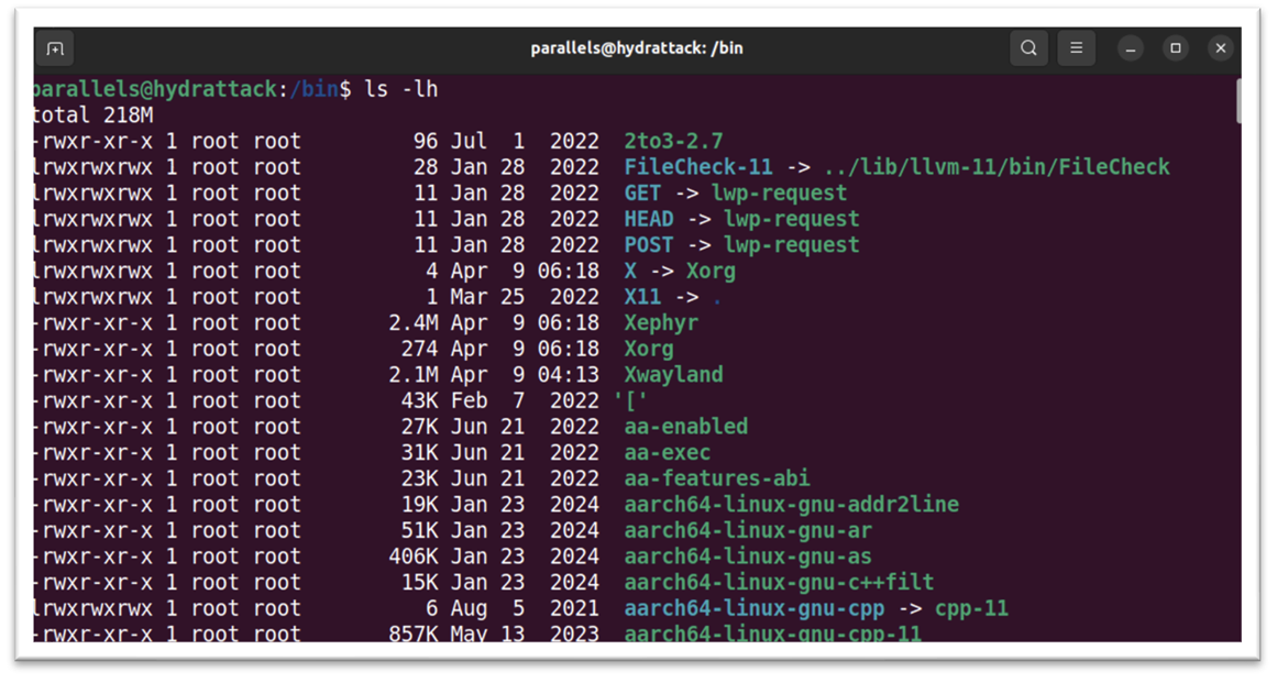 Обучение кибербезопасности и этичному хакерству: структура Linux 2