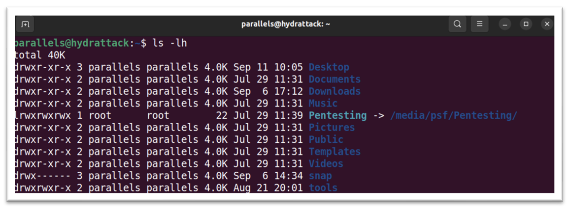 Обучение кибербезопасности и этичному хакерству: структура Linux 5