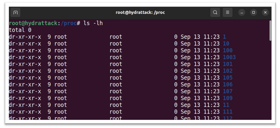 Обучение кибербезопасности и этичному хакерству: структура Linux 14