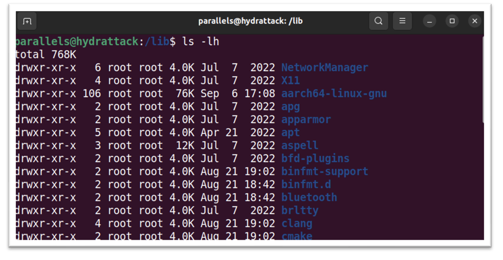 Обучение кибербезопасности и этичному хакерству: структура Linux 9