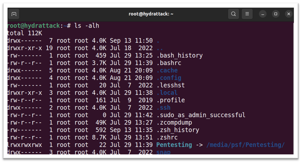Обучение кибербезопасности и этичному хакерству: структура Linux 13