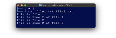 Обучение кибербезопасности и этичному хакерству: изучаем командную строку и базовые команды. Часть 1 4