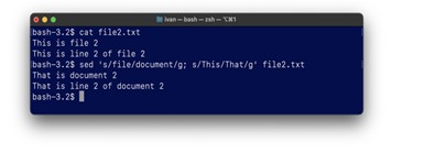 Обучение кибербезопасности и этичному хакерству: изучаем командную строку и базовые команды. Часть 1 37