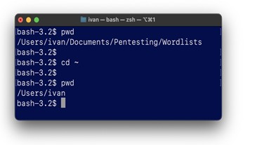 Обучение кибербезопасности и этичному хакерству: изучаем командную строку и базовые команды. Часть 1 13