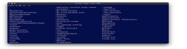 Обучение кибербезопасности и этичному хакерству: изучаем командную строку и базовые команды. Часть 1 8