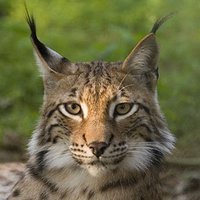 Аватарка пользователя Максим Павлов