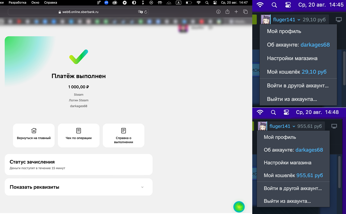 Пополнить баланс Стим: простой и понятный гайд в 2025 году 4