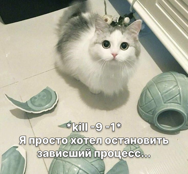 20 команд Linux, которые не стоит запускать, либо запускать с особой осторожностью 1