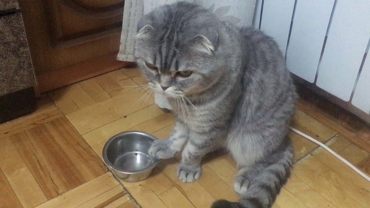 20 команд Linux, которые не стоит запускать, либо запускать с особой осторожностью 2